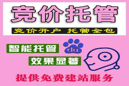 SEM推广代运营策略：从失败到成功的转变